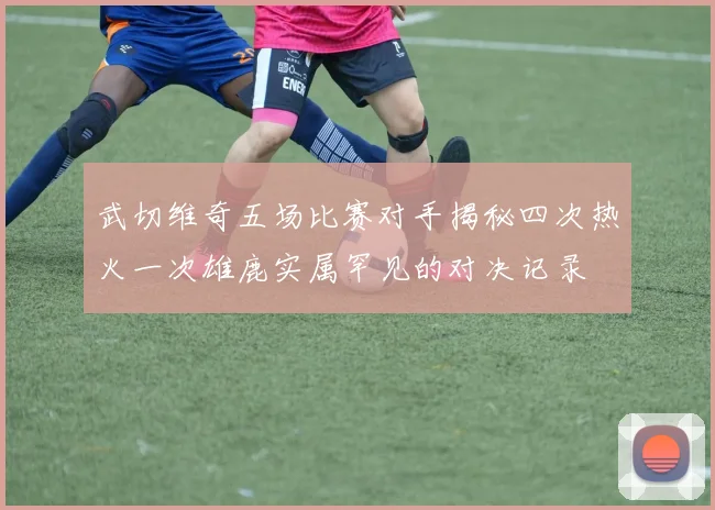 武切维奇五场比赛对手揭秘四次热火一次雄鹿实属罕见的对决记录